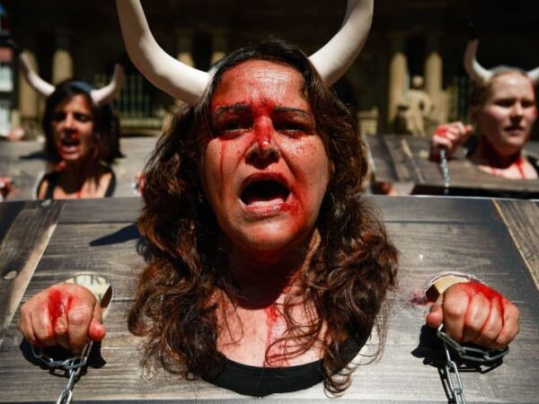 Spain’s controversial Pamplona bull run festival gets under way