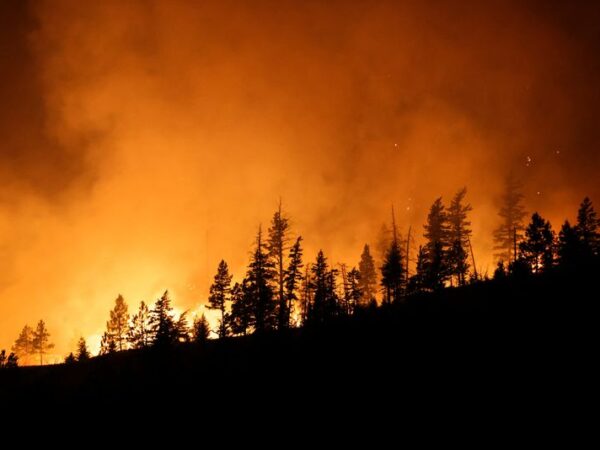 Wildfires in Canada’s Alberta, British Columbia prompt evacuation orders