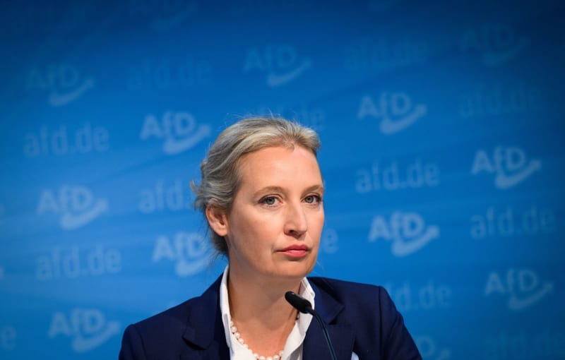 Germany’s AfD leadership picks Alice Weidel as chancellor candidate