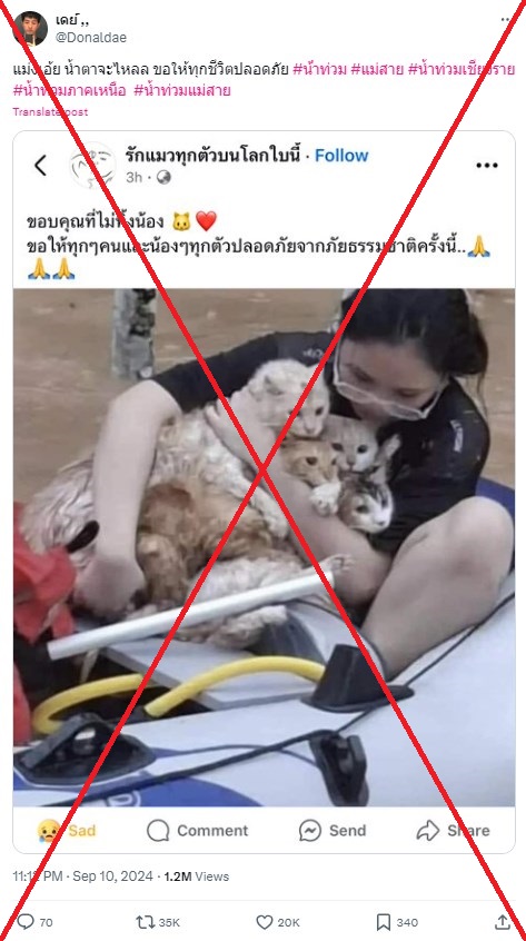 Photo shows cat rescue during floods in Malaysia, not Thailand