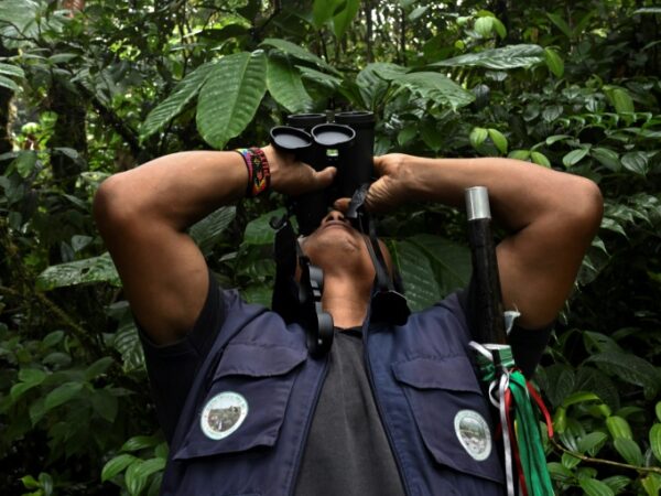 Colombia’s Awa people resist violence, maintain ‘spiritual bond’ with nature