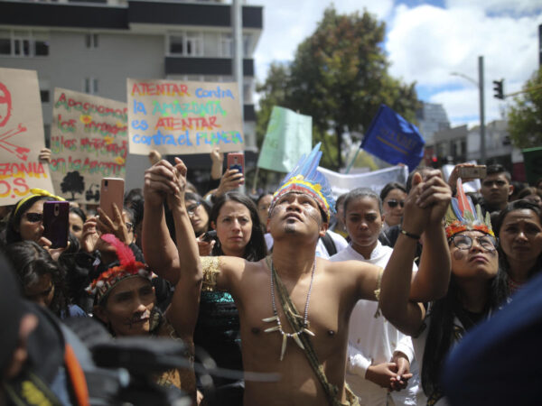 Efforts to combat deforestation in Colombia lag because of armed groups, report finds
