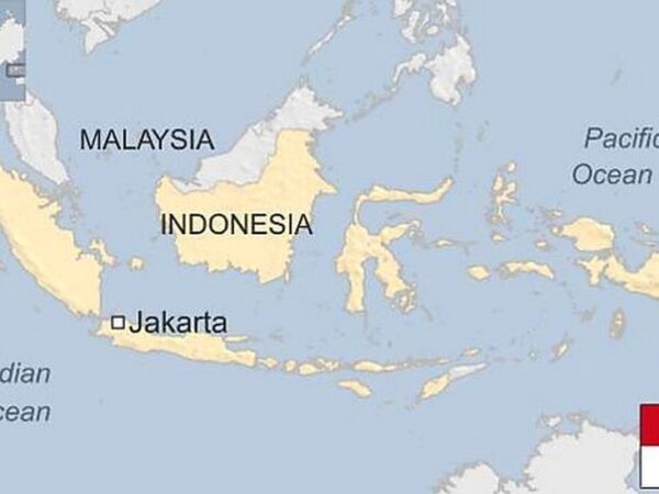 Indonesia country profile