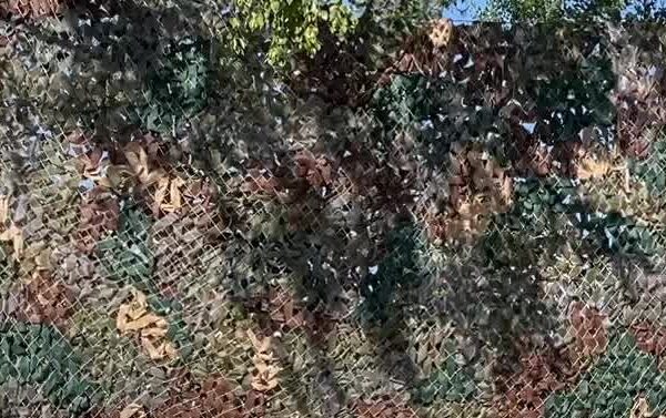 Music and Morale in a Country at War