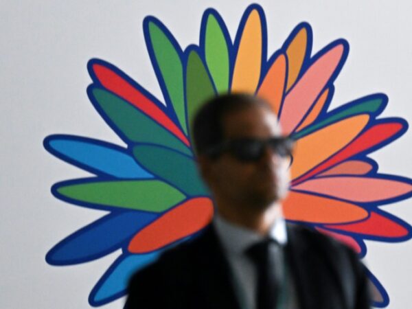 UN biodiversity conference: what’s at stake?