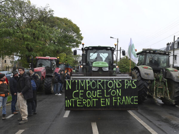 Carrefour apologizes to Brazil for CEO’s remarks, and beef is headed back to its stores