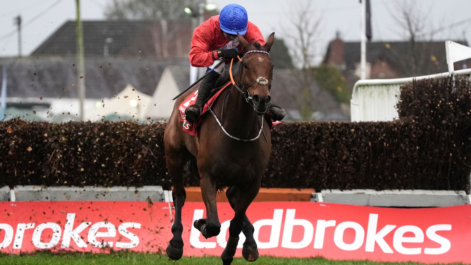 Down Royal: Electric Envoi Allen lands ninth Grade One with Ladbrokes Champion Chase triumph | Racing News Down Royal: Electric Envoi Allen lands ninth Grade One with Ladbrokes Champion Chase triumph | Racing News
