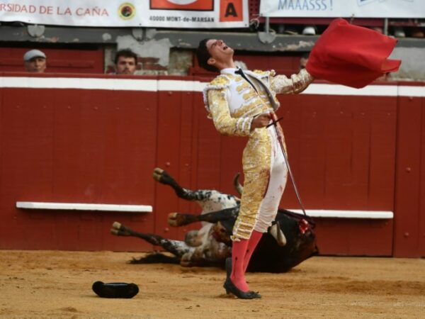 French Senate rejects bill to ban under-16s from attending bullfights