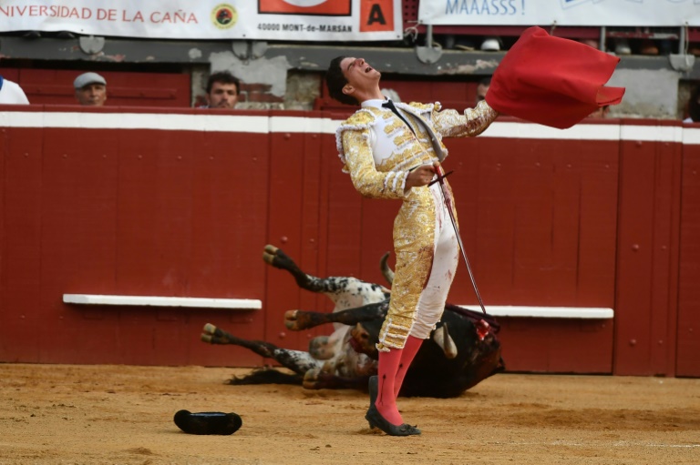 French Senate rejects bill to ban under-16s from attending bullfights French Senate rejects bill to ban under-16s from attending bullfights