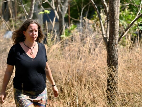Green shoots spring from ashes in Brazil’s fire-resistant savanna