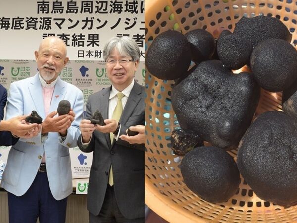 Japan finds massive rare metals deposit worth ,290,800,000