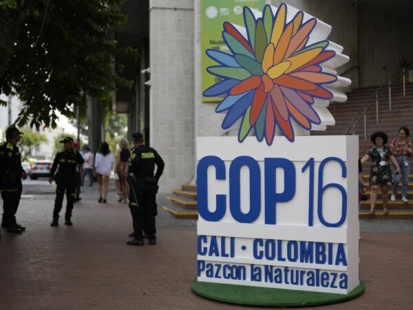 Negotiations stall over some crucial issues on final day of UN biodiversity summit in Colombia