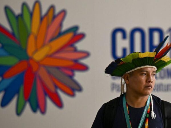 Politicians not ambitious enough to save nature, say scientists