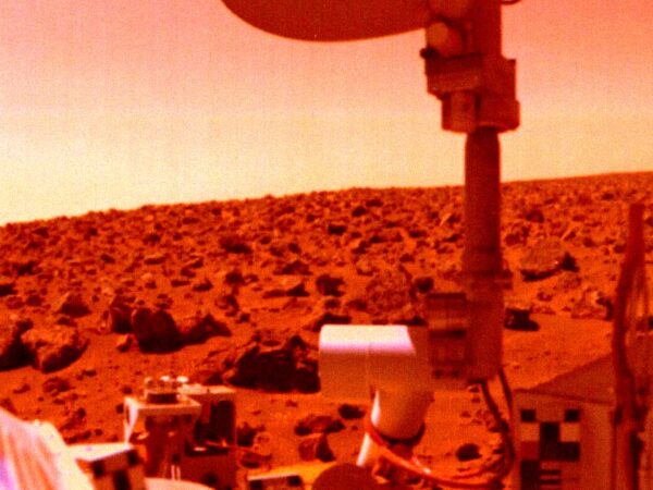 Scientist Says NASA Lander May Have Accidentally Killed Life on Mars