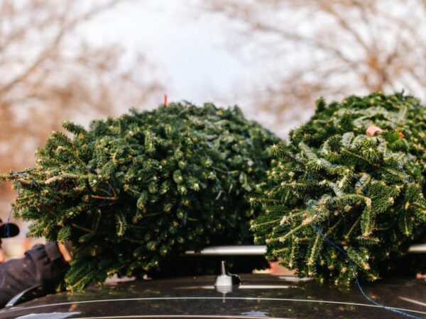 Trudeau plays Santa with seasonal tax break