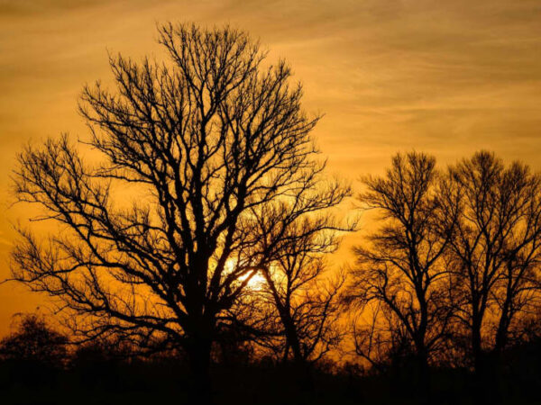 Warm weather welcomes the opening of many German Christmas markets