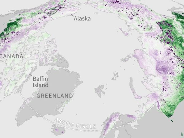 Arctic tundra becoming a source of carbon dioxide emissions, NOAA warns