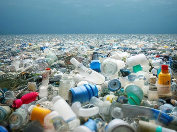 Countries deadlock on UN treaty on plastic pollution