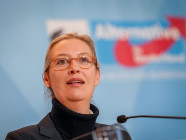 Leader of Germany’s far-right AfD planning live chat with Elon Musk