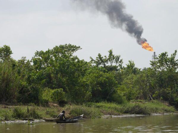 Nigerian agency ‘failed completely’ to clean up oil damage despite funding, leaked files say