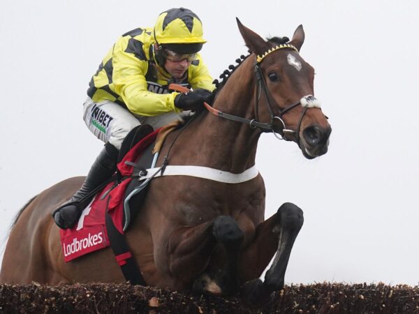 Sir Gino: Nicky Henderson’s star outclasses Ballyburn in Kempton showdown | Racing News Sir Gino: Nicky Henderson’s star outclasses Ballyburn in Kempton showdown | Racing News