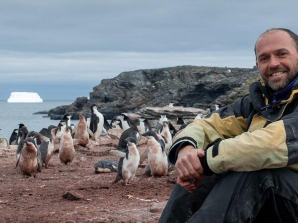 ‘This Christmas I’ll be counting penguins’
