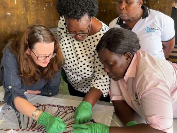 Uni finds 350,000 African artefacts in storage