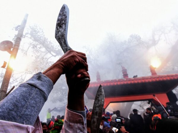 What to Know About Gadhimai Festival—and Its Controversial Mass Animal Sacrifice