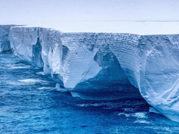 World’s biggest iceberg heads north after escaping vortex