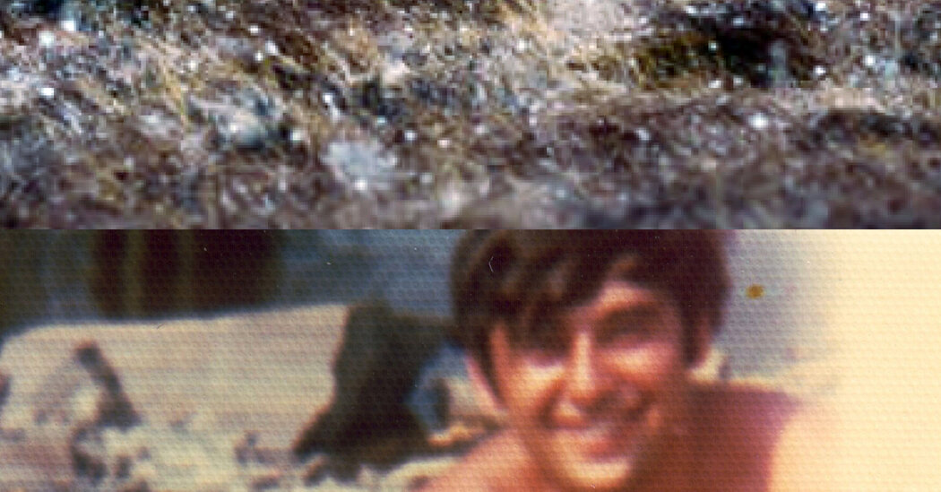 5 Classical Music Albums You Can Listen to Right Now 5 Classical Music Albums You Can Listen to Right Now