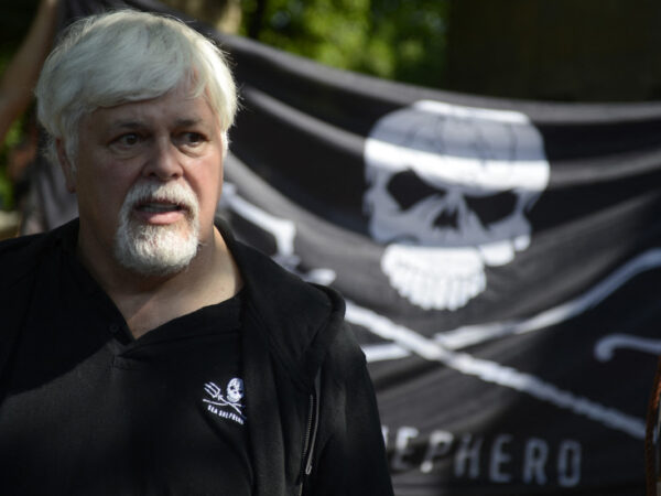 An Exclusive Conversation With Activist Captain Paul Watson: Part 1