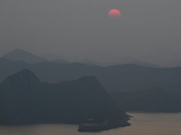 Brazil’s Amazon saw highest number of fires in 17 years: agency