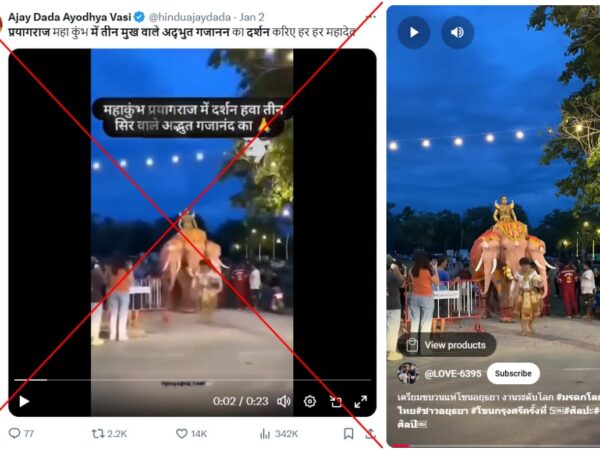 Clip of ‘three-faced’ elephant filmed at Thai parade, not giant India festival