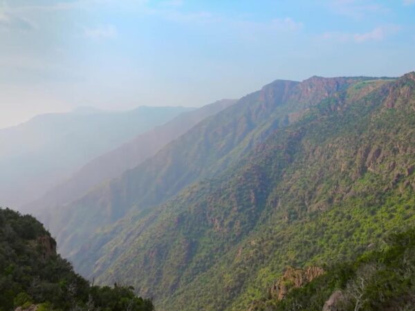 Enchanted Soudah: Nature in the clouds