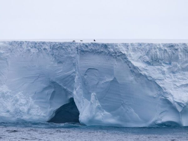 Fears that the world’s biggest iceberg could hit island in the South Atlantic