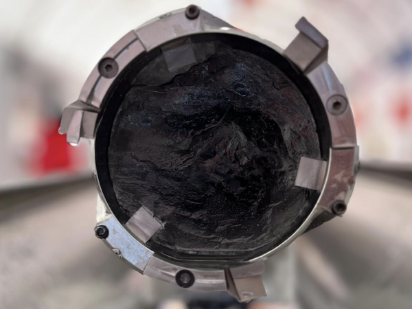 Scientists just excavated an unprecedented specimen from Antarctica