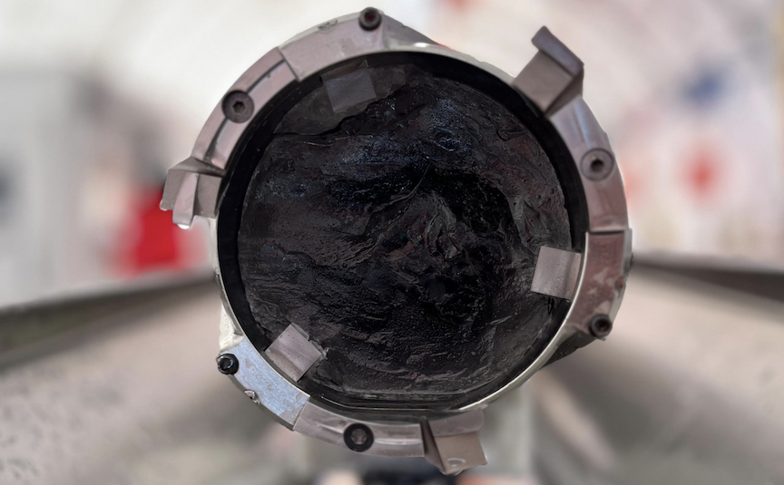 Scientists just excavated an unprecedented specimen from Antarctica