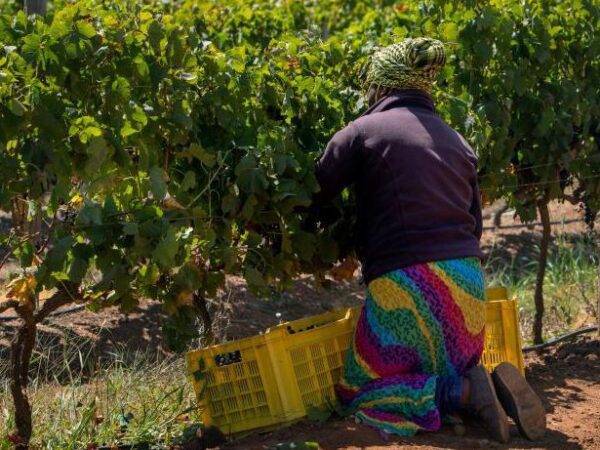 South African president signs controversial land seizure law