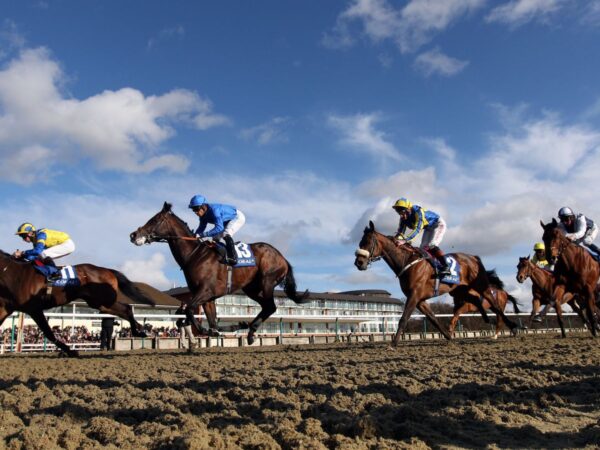 Today on Sky Sports Racing: Eydon and Champagne Prince do battle in Winter Derby Trial | Racing News