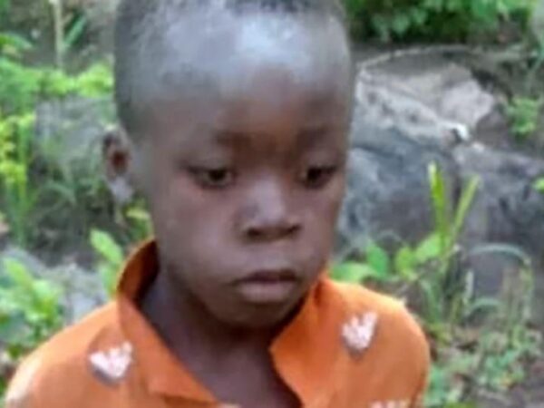 Young boy survives five days in lion-inhabited game park