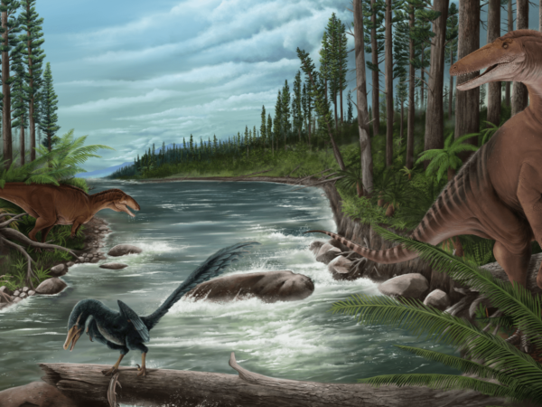 A 20-foot-long ‘mega raptor’ once stalked Australia