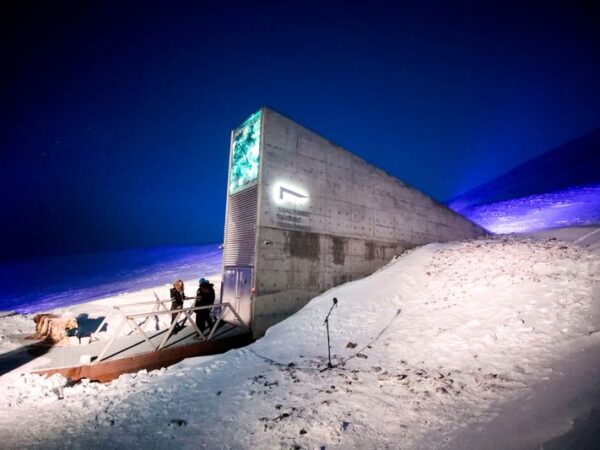 Arctic doomsday seed vault gets more than 14,000 new samples