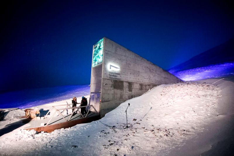 Arctic doomsday seed vault gets more than 14,000 new samples