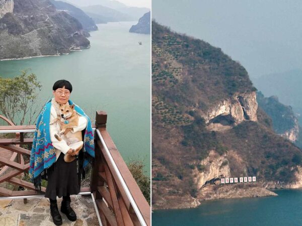 Can You See the Dog? Puppy-Shaped Mountain Becomes Tourist Destination After Viral Photo
