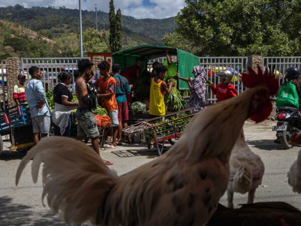 East Timor’s Challenges Two Decades After Independence