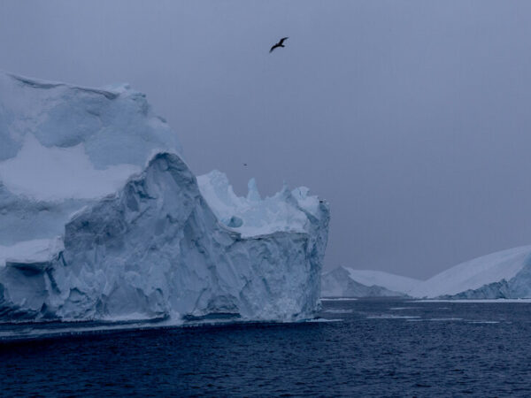 Greenland’s Big Moment – The New York Times