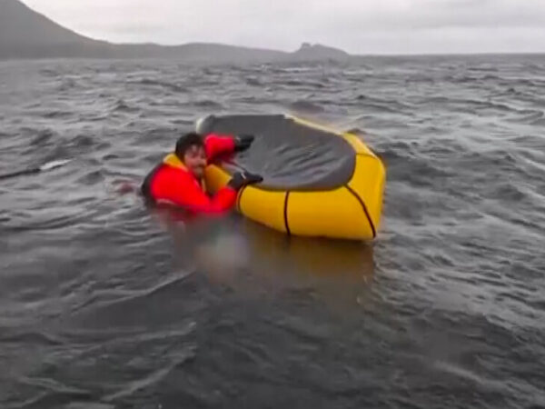 Man Is Briefly ‘Swallowed’ by Whale in Chile