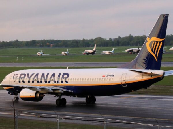 Plane grounded for two days after stowaway cat enters electrical bay