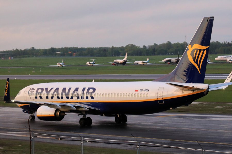 Plane grounded for two days after stowaway cat enters electrical bay Plane grounded for two days after stowaway cat enters electrical bay