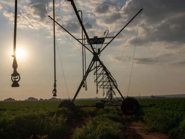 Some Afrikaners Cheer as Trump Amplifies Claims of Persecution